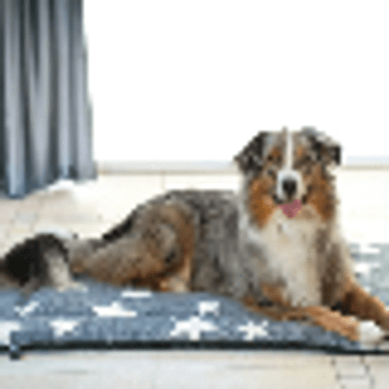 Sherpa Seng Grå med svarte og hvite poter Large – 107cm x 71cm, Petlife