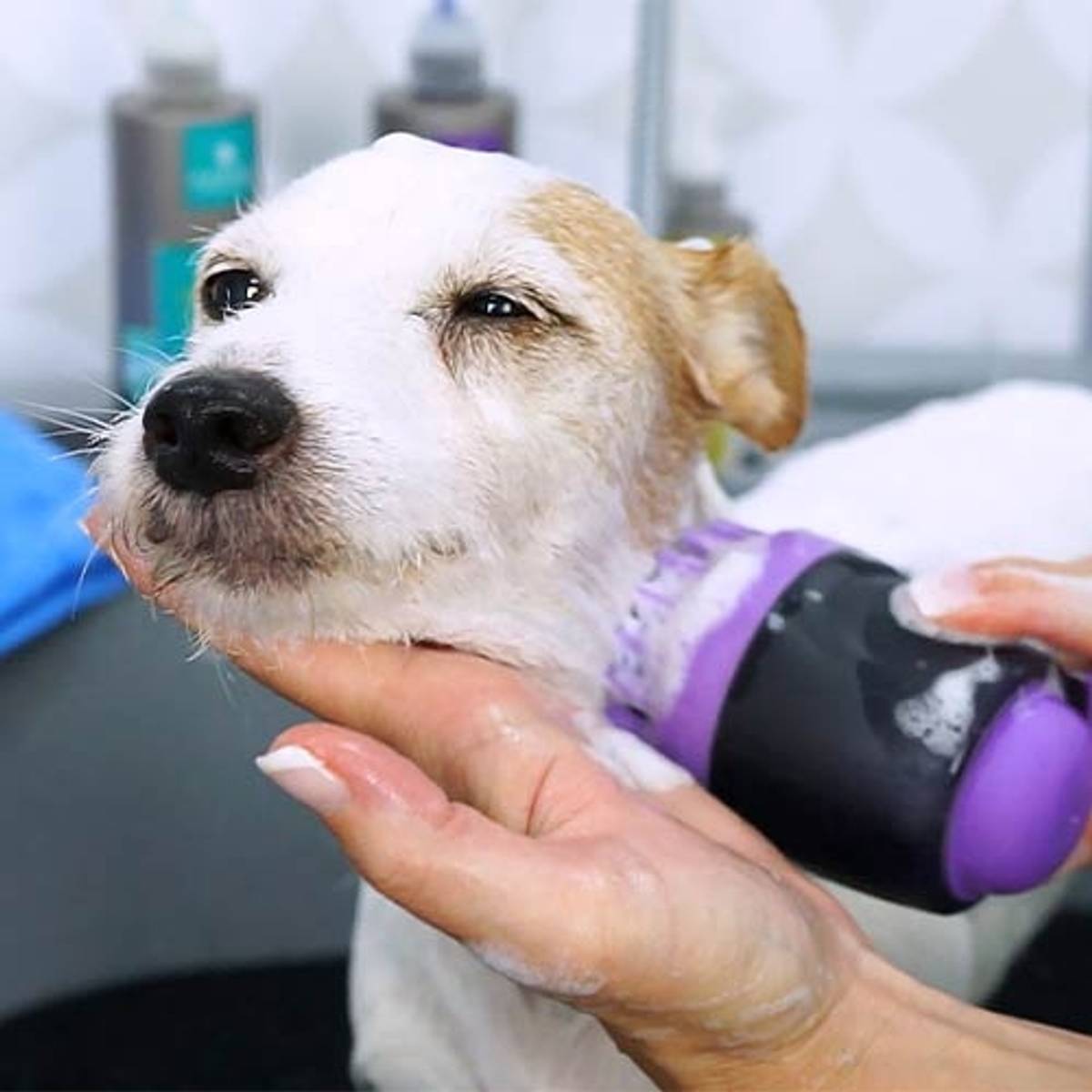Bademassasjebørste for påføring av shampoo, Ibanez