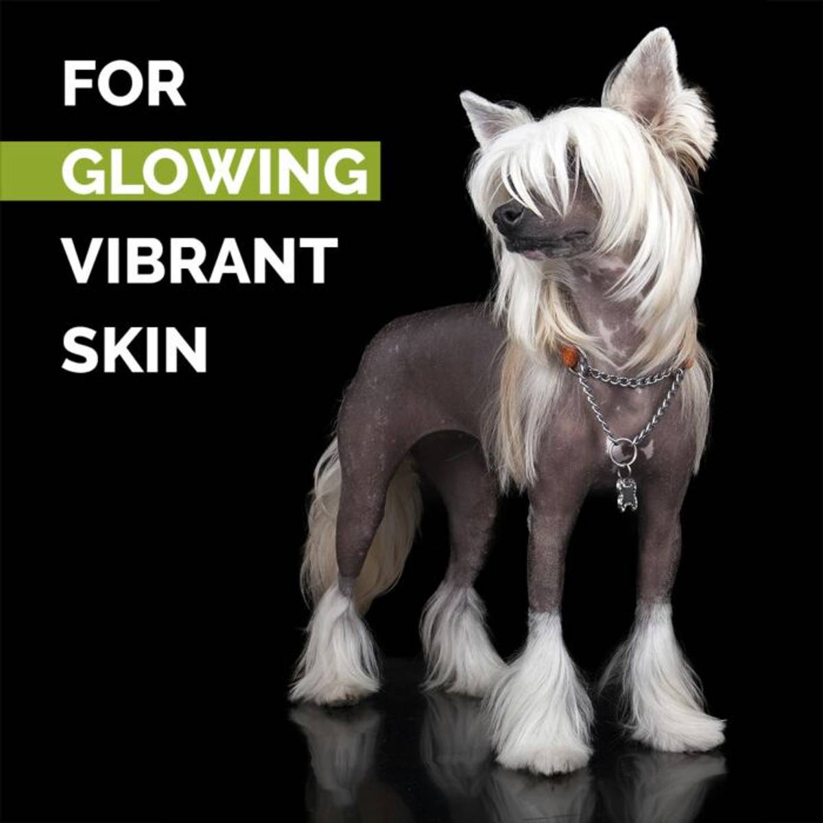 Skinsational Pet Scrub 200 ml, ShowTech