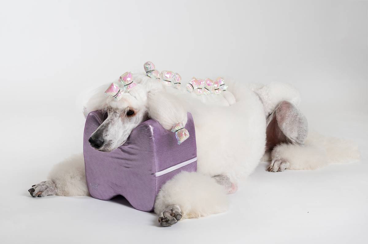 Grooming pute Lilla Topknot Cushion Glitzy (Big), ShowTech