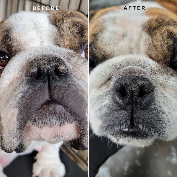 Hovedbilde On the Nose Therapy Balm 14 g, Evy-Envy