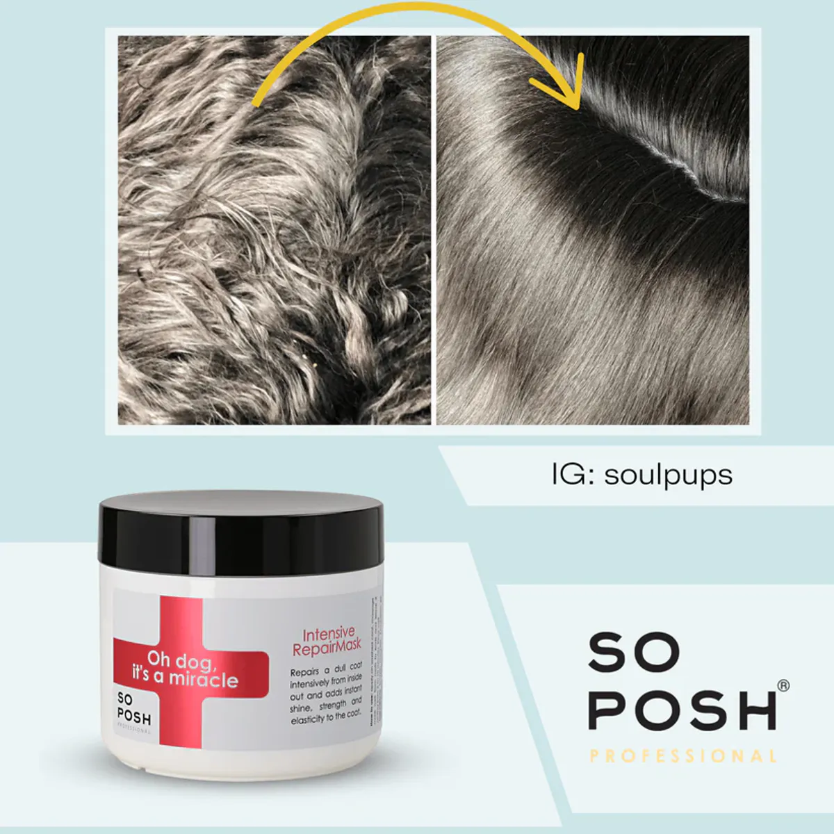 Oh dog, its a Miracle Intensive repair mask 500 ml. SoPosh