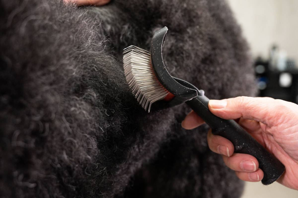 Mega Pin Slicker Large Slicker Brush, Yento